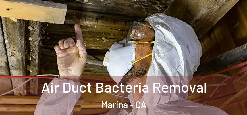  Air Duct Bacteria Removal Marina - CA