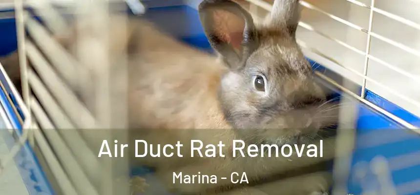  Air Duct Rat Removal Marina - CA