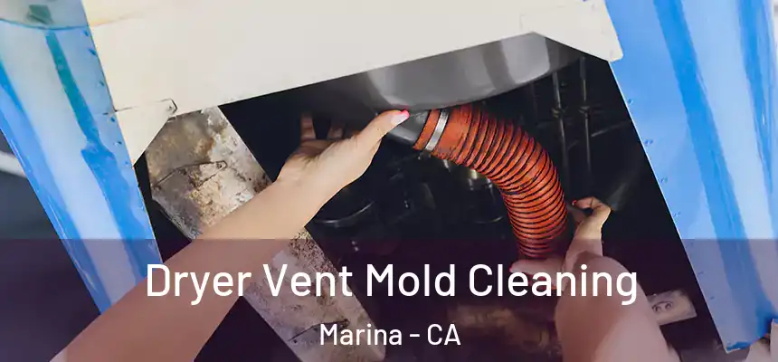  Dryer Vent Mold Cleaning Marina - CA