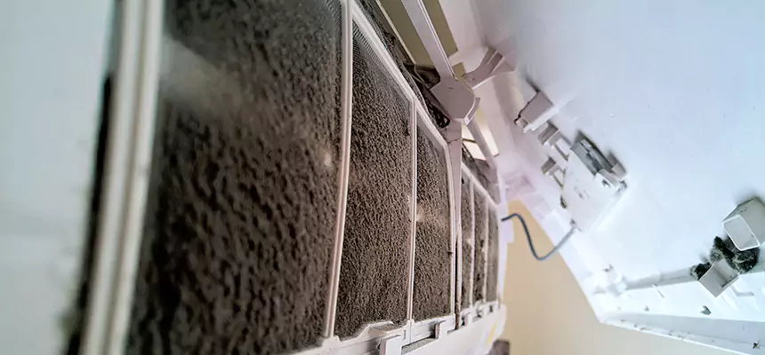 Preventive Air Duct Bacteria Removal in Marina