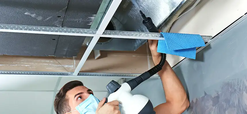 Our Air Duct Rodent Removal Services in Marina, CA