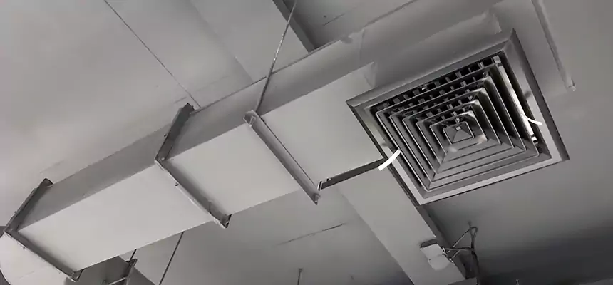 Our Pest Removal From Ducts Services in Marina, CA