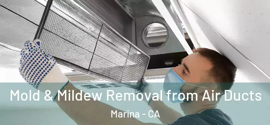  Mold & Mildew Removal from Air Ducts Marina - CA
