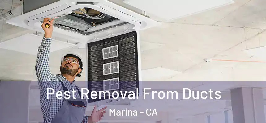  Pest Removal From Ducts Marina - CA