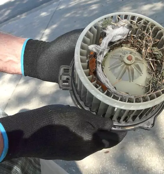 About Air Duct Mice Removal in Marina, CA