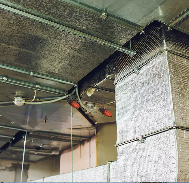 Why Homeowners & Businesses Trust Us in Marina, CA?