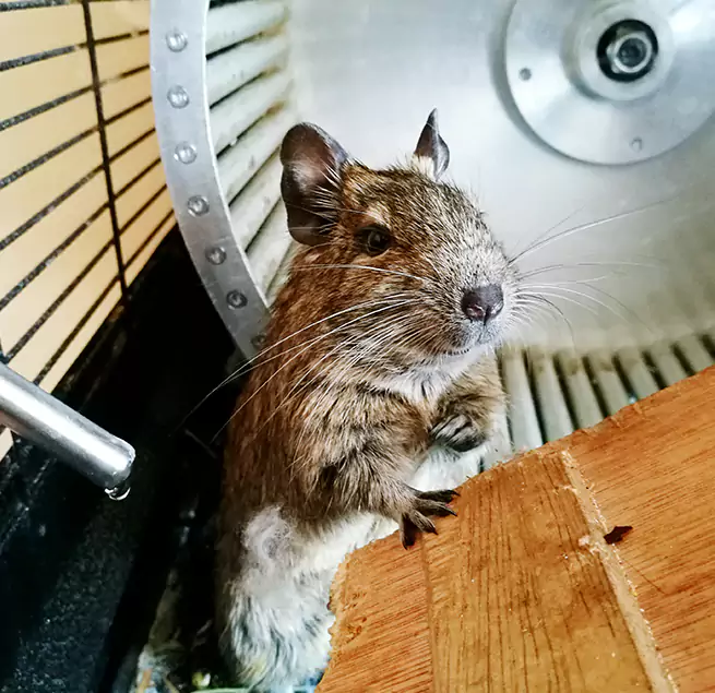 Why Homeowners & Businesses Trust Us Marina, CA