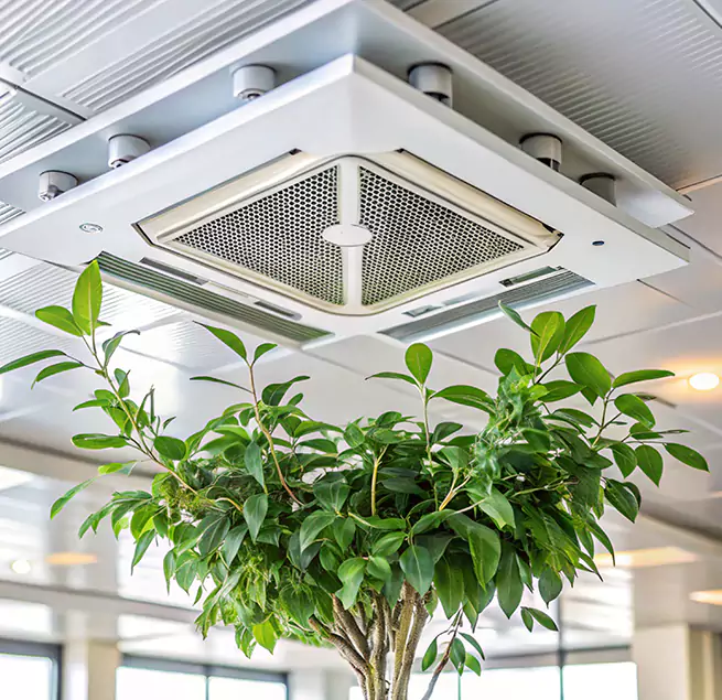 Why Homeowners & Businesses Trust Us in Marina, CA?